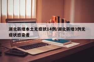 湖北新增本土无症状14例/湖北新增3例无症状感染者